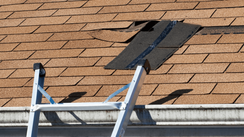 Roof Repair – Symptoms and Signs of Roof Damage