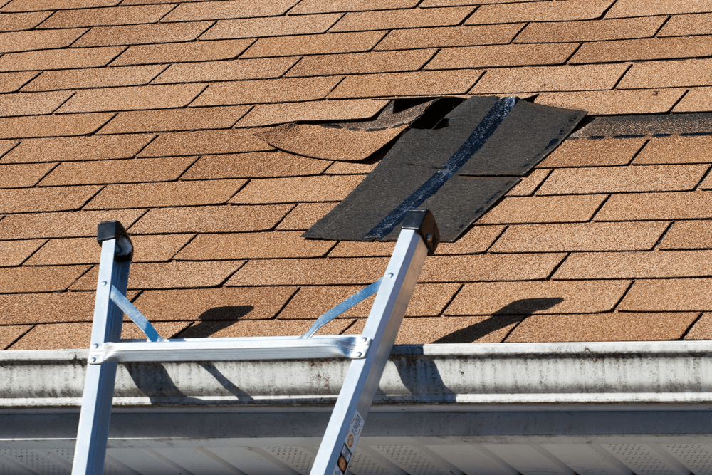 Roof Repair – Symptoms and Signs of Roof Damage